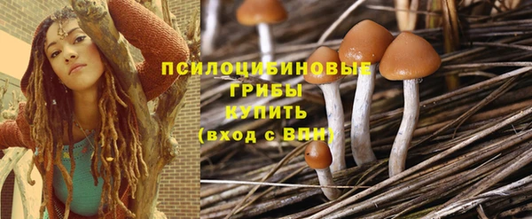 прущая мука Надым