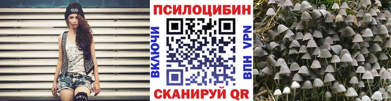 Псилоцибиновые грибы MAGIC MUSHROOMS  Партизанск 